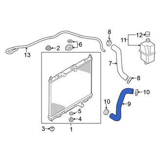 Nissan OE - Lower Radiator Coolant Hose