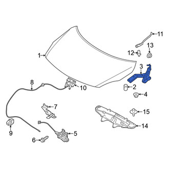 Nissan OE - Front Right Hood Hinge