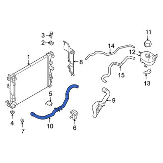 Nissan OE - Lower Radiator Coolant Hose