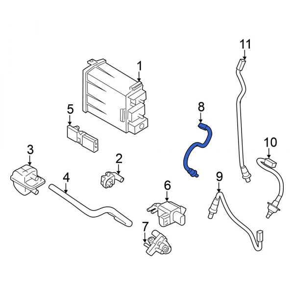 Oxygen Sensor