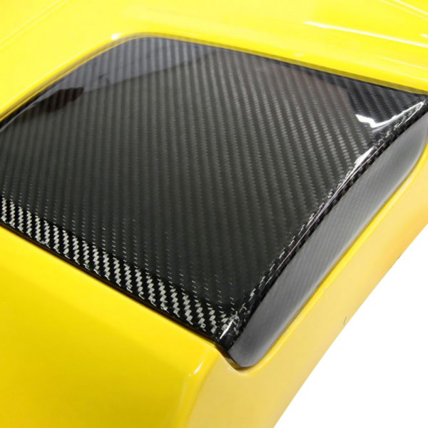 Nowicki Autosport Design® - Carbon Fiber Tonneau Cover Inserts with OE Matching Tint