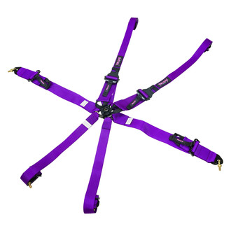 NRG Innovations® - 6-Point FIA Harness, Purple with Prisma logo
