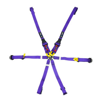 NRG Innovations® - 6-Point FIA Seat Belt Harness, Purple with NRG Logo