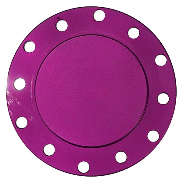 NRG Innovations® - Purple Flush Horn Delete Plate