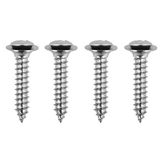 OER® - Interior Pillar Post Molding Screw Set