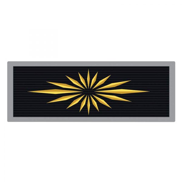 OER® - Gold Seat Belt Emblem Set