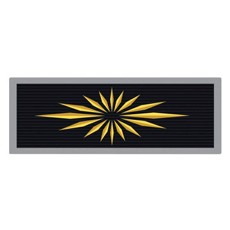 OER® - Gold Seat Belt Emblem Set