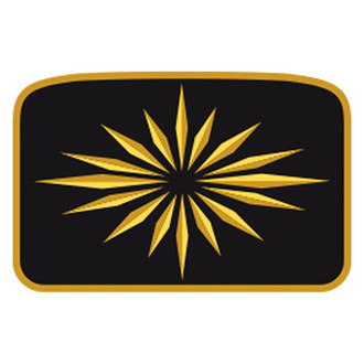 OER® - Gold/Black Seat Belt Emblem Set
