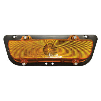 OER® - Driver or Passenger Side Driver or Passenger Side Replacement Turn Signal/Parking Light