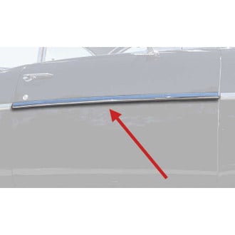 OER® - Passenger Side Door Molding