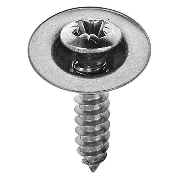 OER® - Replacement License Plate Light Screws