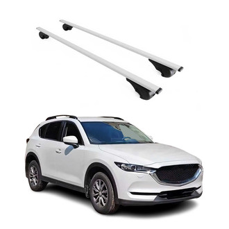 OMAC® - Gray Raised Roof Rails Cross Bars