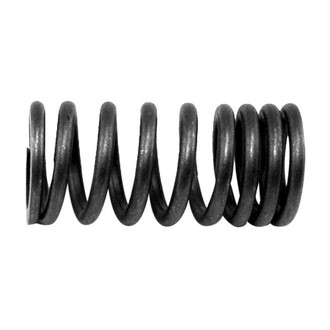 Omix-ADA® - Valve Spring