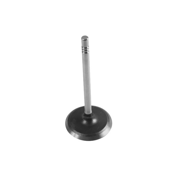 Omix-ADA® - Engine Intake Valve