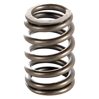 Omix-ADA® - Valve Spring