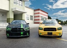 Custom Halo Kits for Headlights and Fog Lights