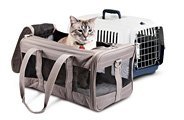 Pet Carriers & Strollers Thumbnail