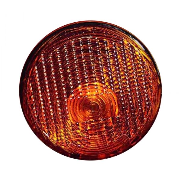 Pacific Best® - Driver Side Replacement Turn Signal/Parking Light, Jeep Wrangler