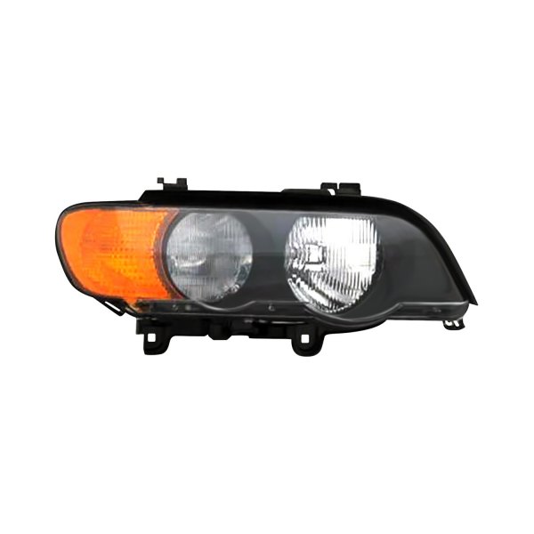Pacific Best® - Passenger Side Replacement Headlight, BMW X5
