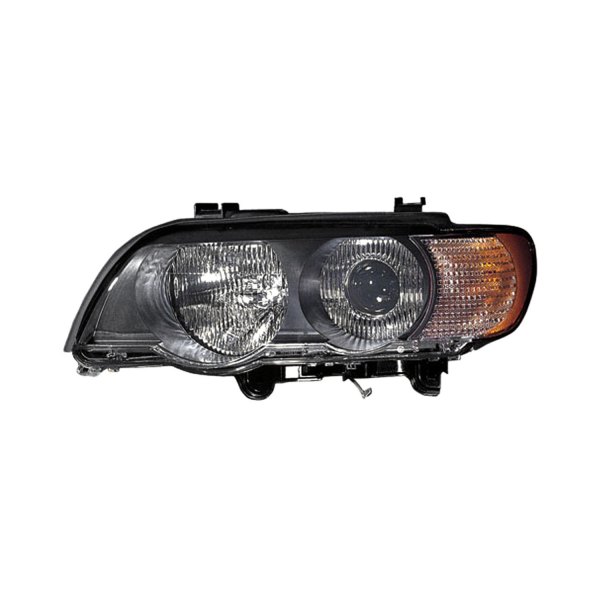 Pacific Best® - Driver Side Replacement Headlight, BMW X5