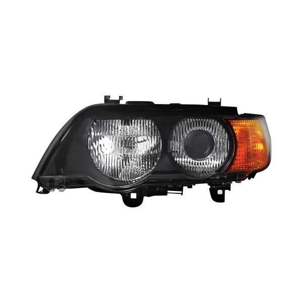 Pacific Best® - Driver Side Replacement Headlight, BMW X5