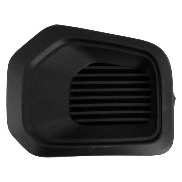 Pacific Best® - Front Passenger Side Fog Light Cover