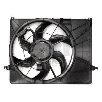 Pacific Best® - Dual Radiator and Condenser Fan Assembly