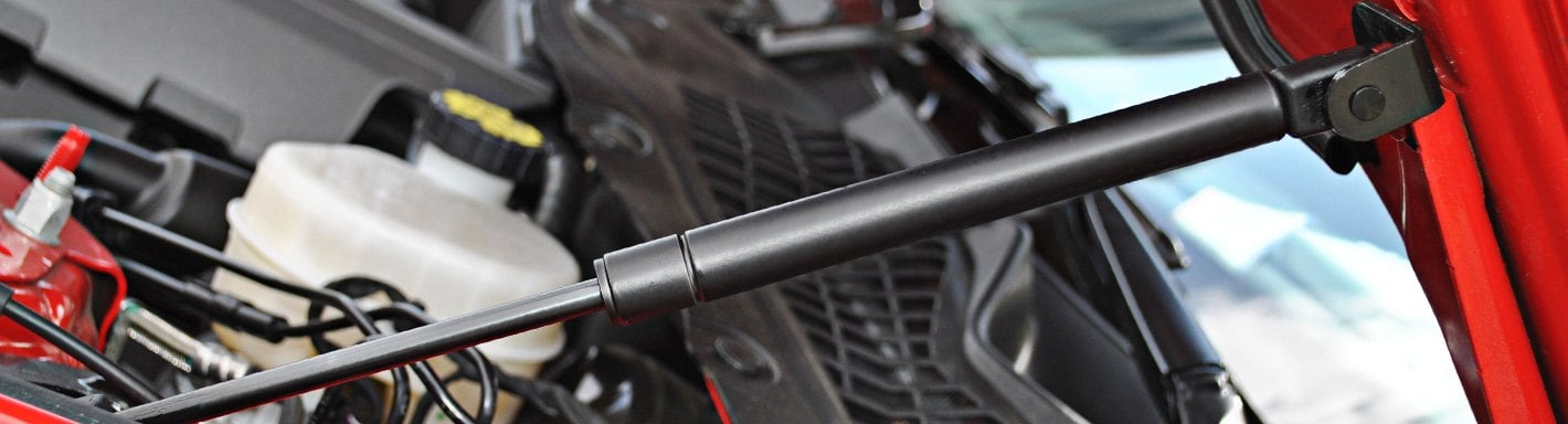 Peugeot Hood Shocks + Struts