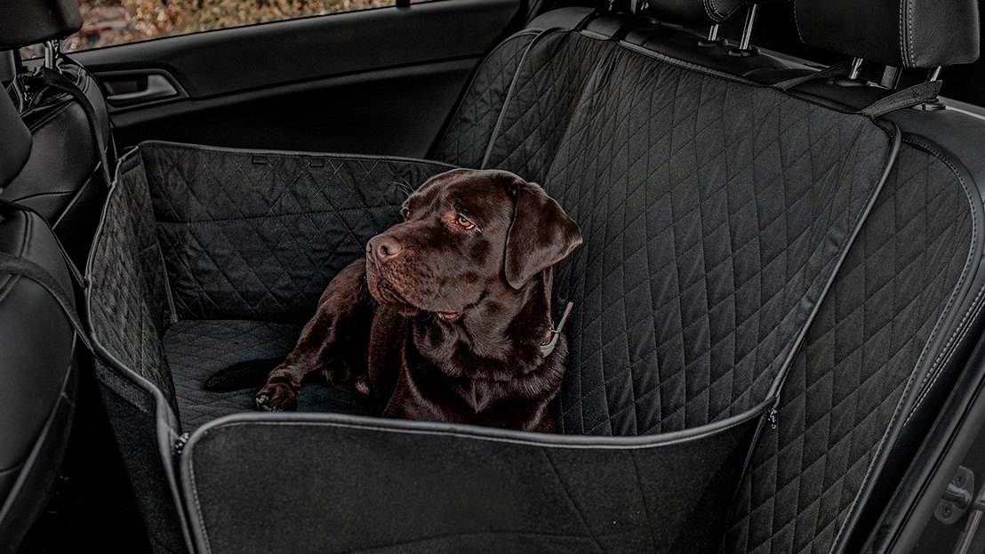 2020 Ford F-150 Interior Accessories - CARiD.com