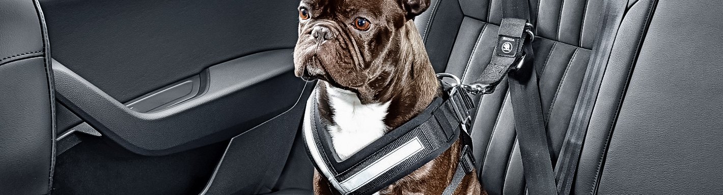 Jeep Wrangler Pet Travel Accessories | Carriers, Seat Protectors