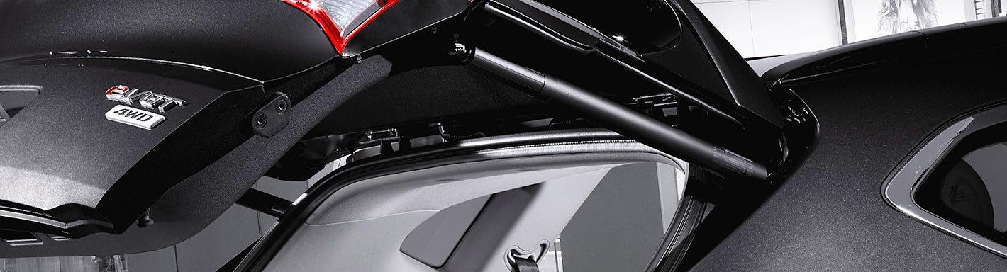 Nissan Trunk + Tailgate Lift Supports