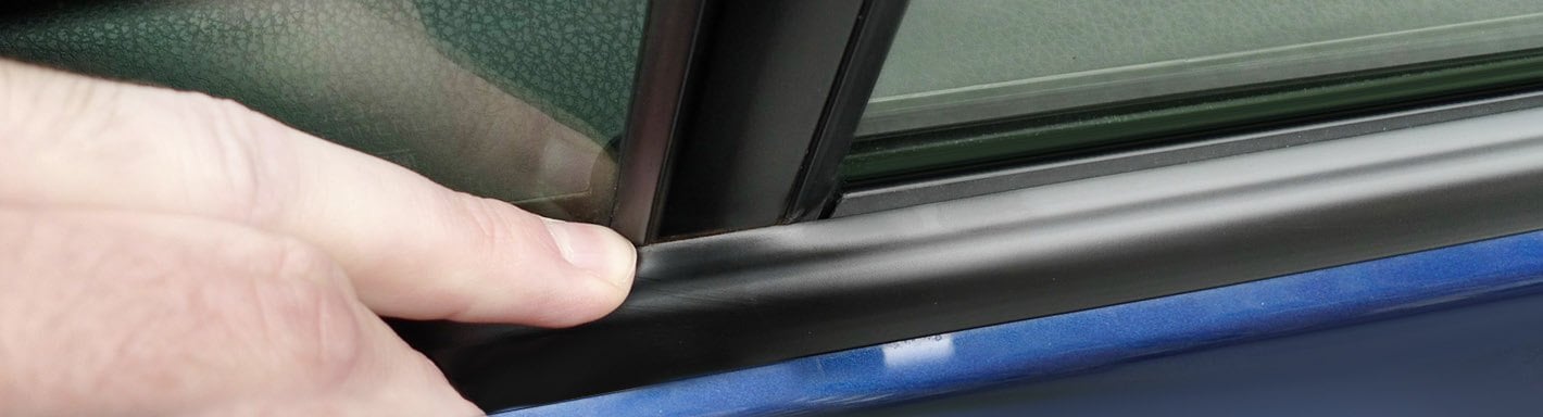 BMW 5-Series Window Seals - 2004