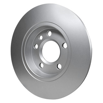 Pagid® - Rear Brake Rotor