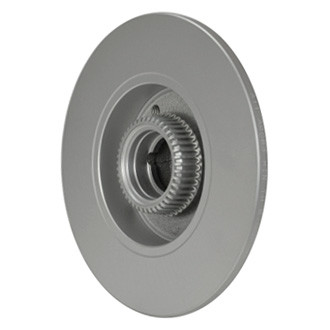 Pagid® - Solid Rear Brake Rotor
