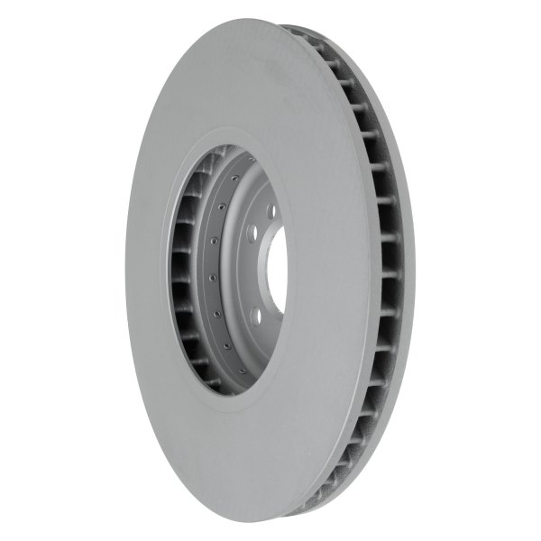 Pagid® - 2-Piece Front Brake Rotor