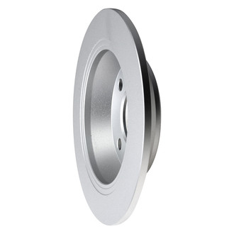 Pagid® - Solid Rear Brake Rotor