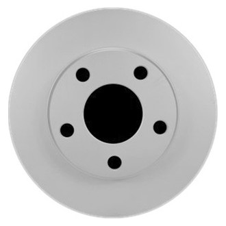 Pagid® - Solid Rear Brake Rotor