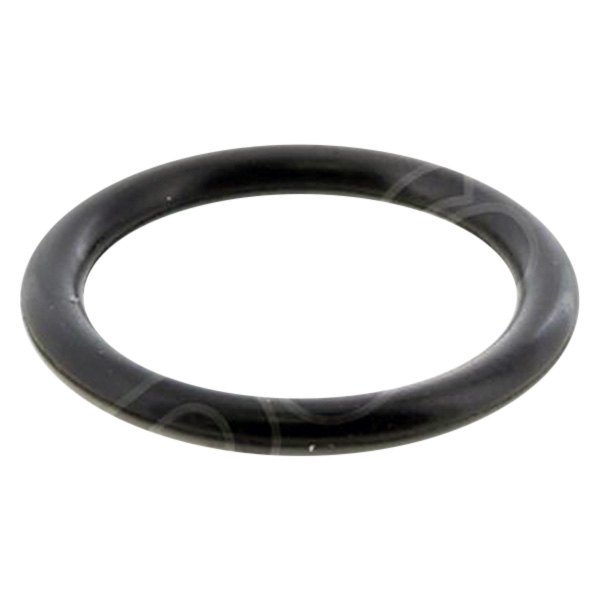 PAI® - Turbocharger O-Ring Seal