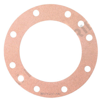 PAI® - Differential Pinion Seal