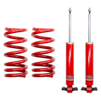 Pedders Suspension® - EziFit Rear Twin-Tube Strut Assemblies