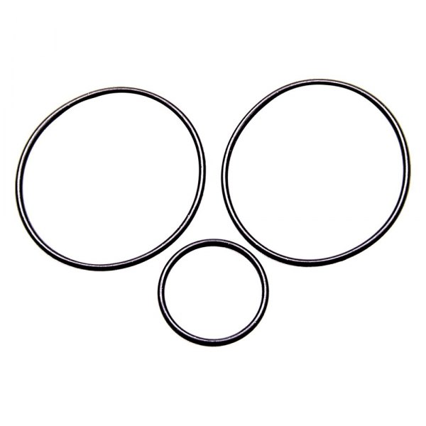 Peterson Fluid Systems® - 600 Series Filter Rebuild Kit