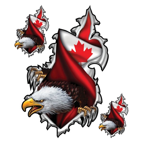 Pilot® - "Canadian Rip n Tear Eagle" 6" x 8" Decal