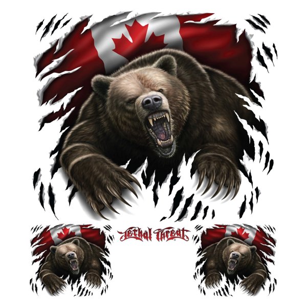 Pilot® - "Canadian Grizzly Bear" 6" x 8" Decal