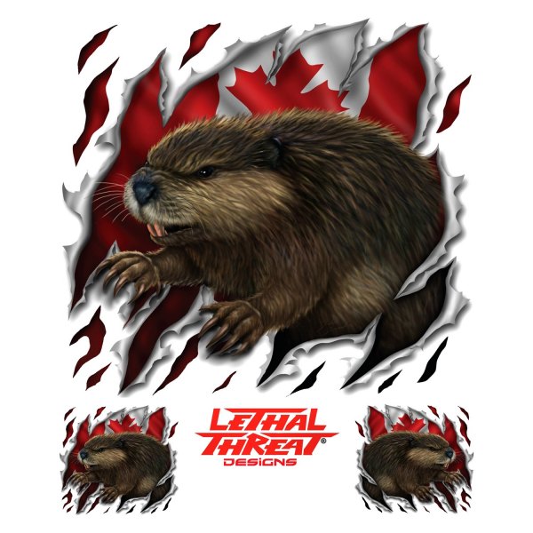 Pilot® - "Canadian Realistic Beaver" 6" x 8" Decal