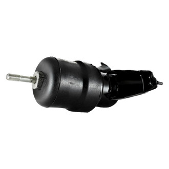 Pioneer Automotive® - Rear Engine Mount