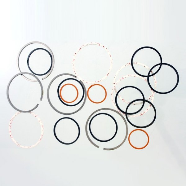 Pioneer Automotive® - Sealing Ring Kit