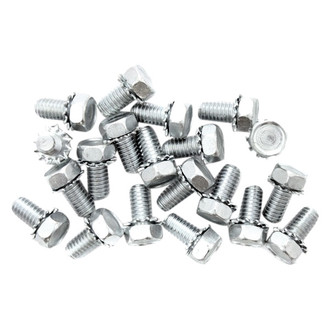 Pioneer Automotive® - Engine Oil Pan Bolt Set