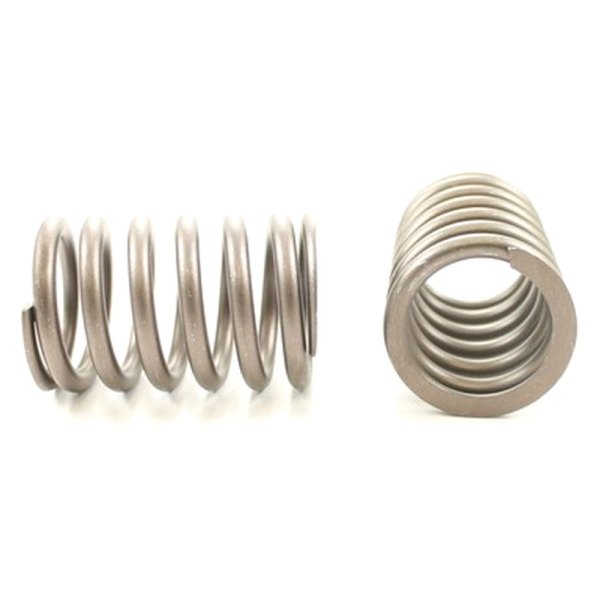 Pioneer Automotive® RV9454 Valve Spring