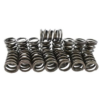 Pioneer Automotive® - Engine Valve Spring Kit