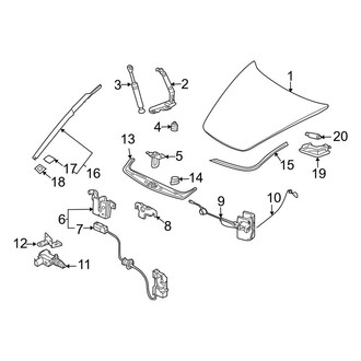 Porsche OE - Hood & Components